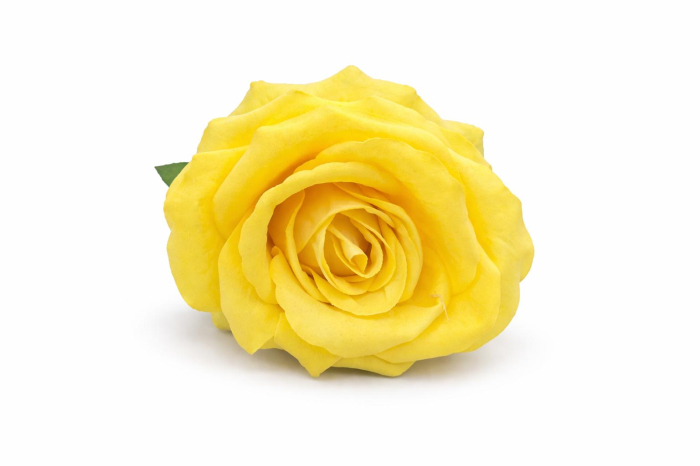 Trandafir artificial galben cu petale catifea aspect natural elegant 50 cm [3]