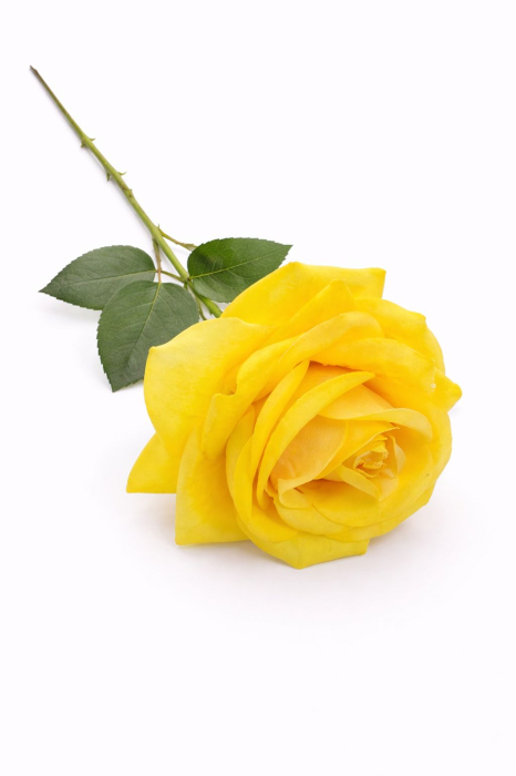 Trandafir artificial galben intens petale catifea aspect natural elegant 45 cm [2]