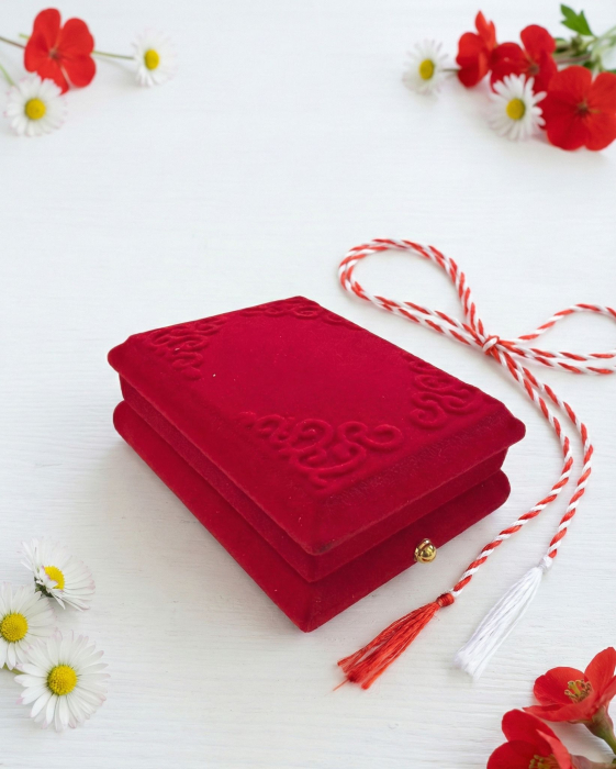 Brosa cosulet argintiu cu strasuri in cutie de catifea luxury rosie 8.5cm [3]