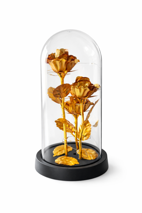Cupola plastic cu trandafiri aurii LED, decor luminos 20 cm, cadou elegant [2]
