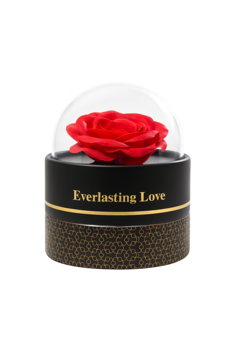 Cutie cadou Best Wishes cu trandafir din sapun si colier surpriza, 11x11x11 cm [4]