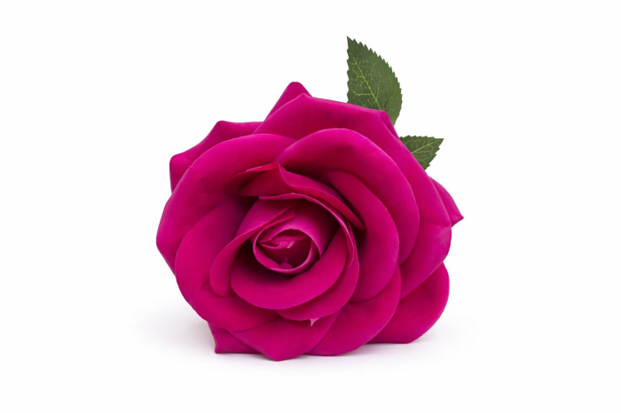 Trandafir artificial roz intens petale catifea aspect natural elegant 45 cm [3]