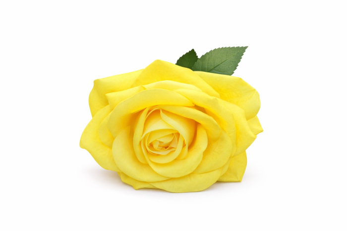 Trandafir artificial galben intens petale catifea aspect natural elegant 45 cm [3]