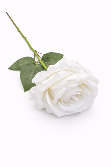 Trandafir artificial alb cu petale catifea 50 cm diametru floare 8-9 cm [3]