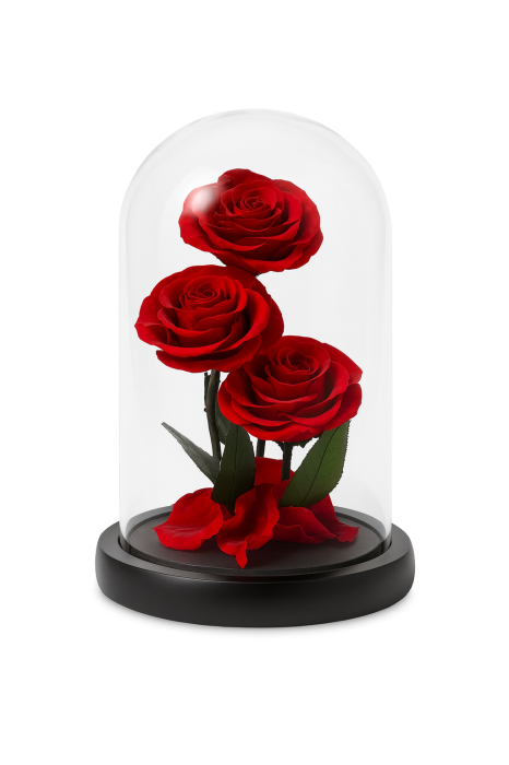 Trandafiri criogenati sub cupola de sticla, 3 flori rosii, cadou premium 23x14 cm [2]