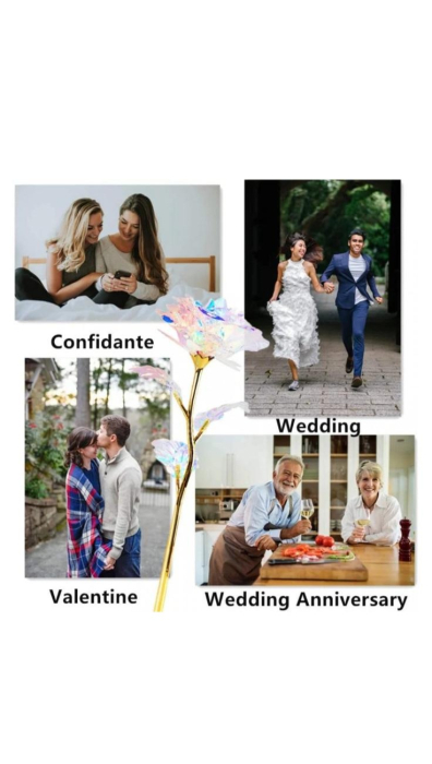 Trandafir auriu cu floare alba irizata, cutie si punga cadou incluse [4]