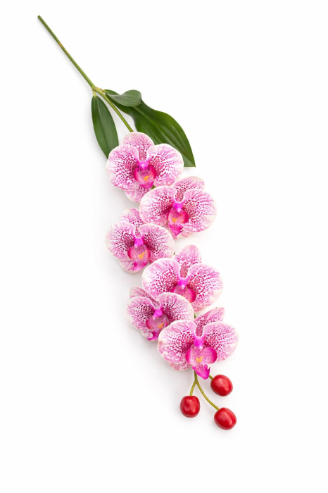 Orhidee artificiala eleganta verde deschis cu accente violet, 6 flori, 60 cm [3]