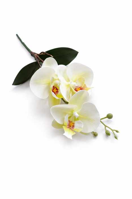 Orhidee artificiala verde crud cu 3 flori si boboci, frunze decorative 37 cm [2]