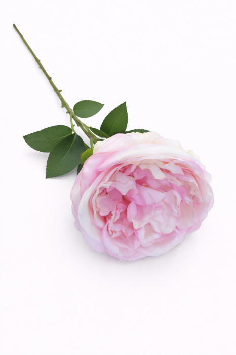 Trandafir artificial roz delicat si crem extrabogat 50 cm diametru floare 10 cm [2]
