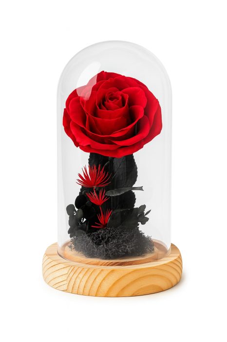 Cupola Sticla cu Trandafir Criogenat Rosu 12.5x9 cm pe Baza Lemn Cadou Elegant [2]