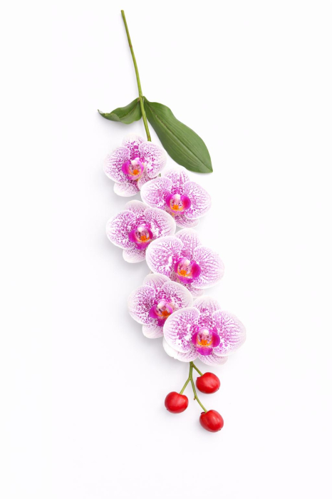 Orhidee artificiala eleganta alba cu accente mov, 6 flori si 3 boboci, 60 cm [3]