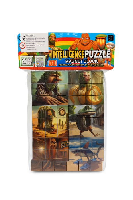Puzzle Magnetic Inteligenta – Magnet Block – Model Creativ – 5+ [2]