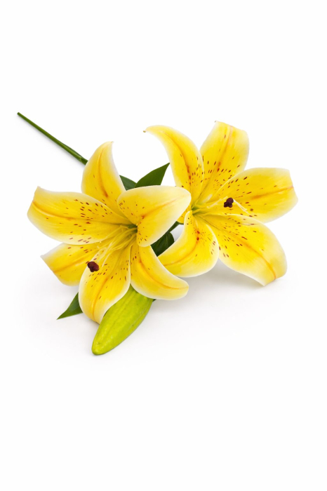 Crin artificial galben intens cu 2 flori si boboc aspect natural elegant 35 cm [2]