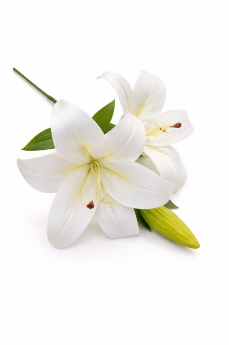 Crin artificial alb delicat cu 2 flori si boboc aspect elegant decorativ 35 cm [2]