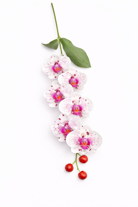 Orhidee artificiala eleganta alba cu pete mov, 6 flori si 3 boboci, 60 cm [2]