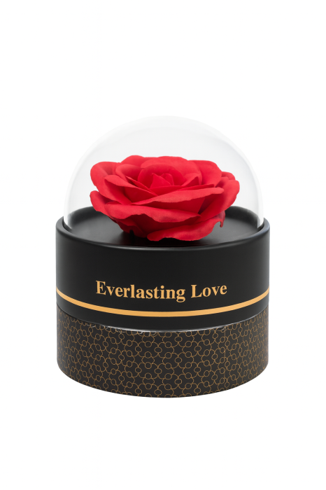 Cutie cadou Best Wishes cu trandafir din sapun si colier surpriza, 11x11x11 cm [2]