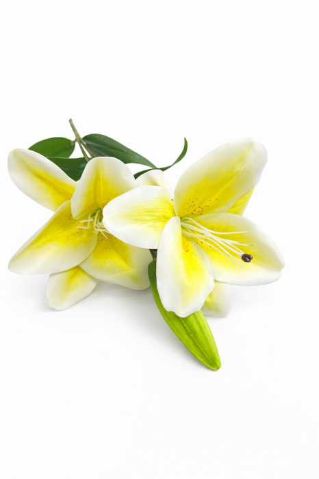 Crin artificial elegant galben cu alb, 2 flori si boboc, inaltime 70 cm [3]