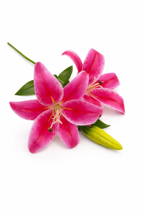 Crin artificial roz intens cu 2 flori si boboc aspect elegant decorativ 35 cm [2]