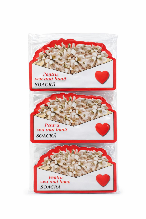 Magnet martisor cu mesaj Pentru cea mai buna soacra, cadou simbolic de primavara, 10x6cm [2]