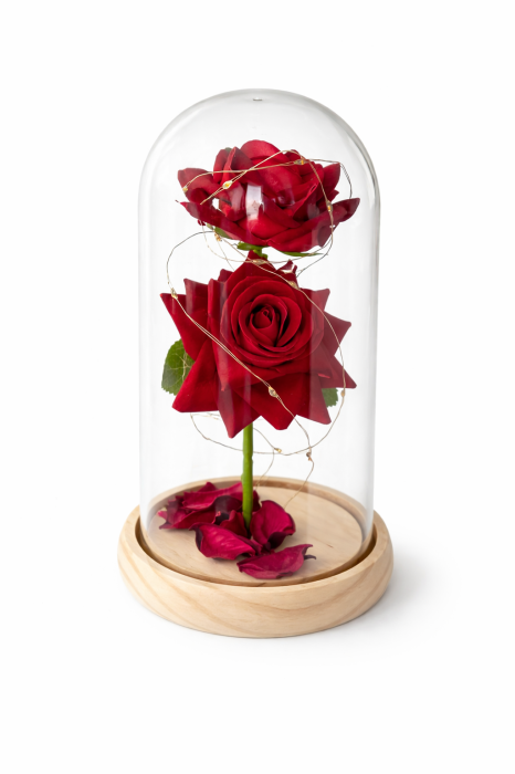 CUPOLA CU 2 TRANDAFIRI Royal Love, LED Romantic, Baza din Lemn, Cadou Indragostiti [2]