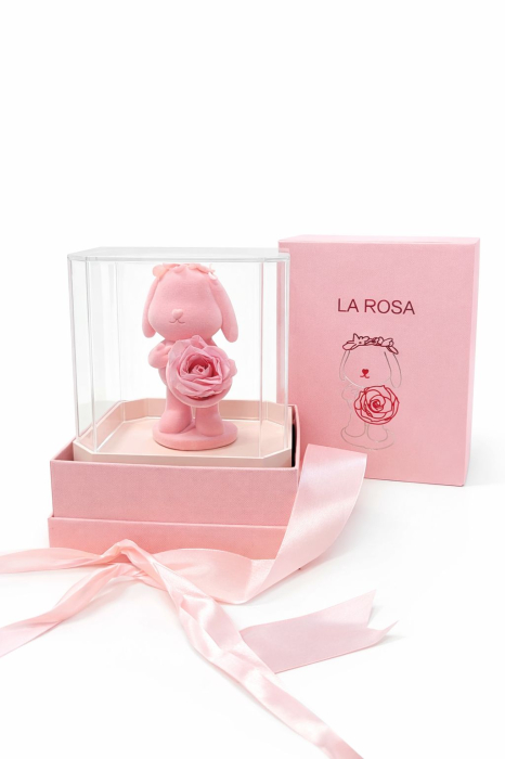 Iepuras cu trandafir in vitrina 22x15x15 cm, 1kg cu sertar bijuterii si punga cadou [5]