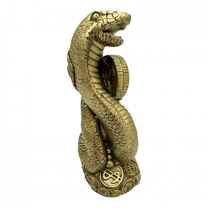 Sarpe Feng Shui 14cm – Statueta din rasina pentru Protectie, Transformare si Intelepciune,  [3]