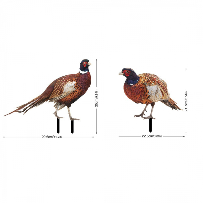 Set 2 Decoratiuni de Gradina, , Model Fazani, Tip Placa, Grosime 3 mm, Fata-Verso, Multicolor [1]