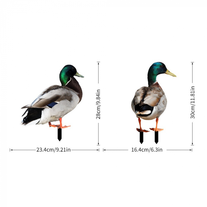 Set 2 Decoratiuni de Gradina, , Model Rata, Tip Placa, Grosime 3 mm, Fata-Verso, Multicolor [1]