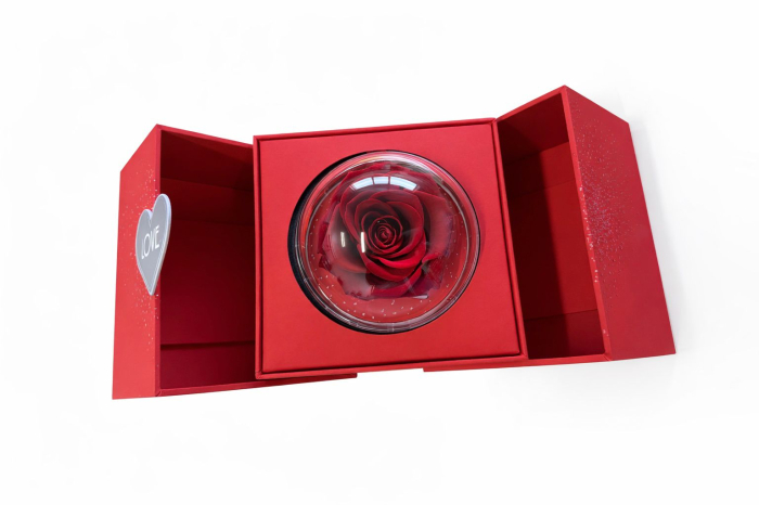 Trandafir criogenat in glob cu cutie rosie 15x14x12 cm, cadou romantic cu compartiment [4]