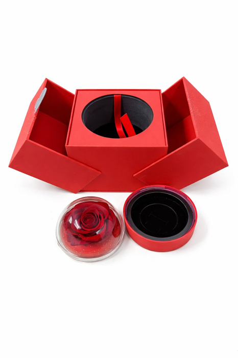 Trandafir criogenat in glob cu cutie rosie 15x14x12 cm, cadou romantic cu compartiment [2]