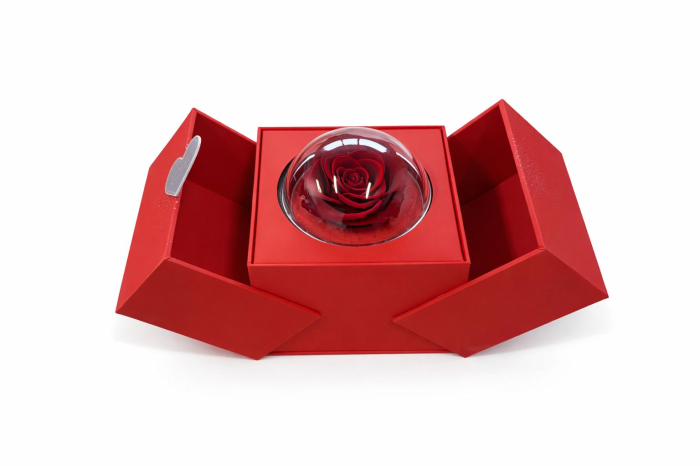 Trandafir criogenat in glob cu cutie rosie 15x14x12 cm, cadou romantic cu compartiment [5]