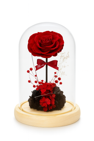 Trandafir Criogenat Rosu Cupola Sticla 24x12.5 cm cu Lumini LED Cadou Premium [1]