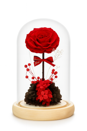 Idei de Cadouri Engros - Trandafir Criogenat Rosu Cupola Sticla 24x12.5 cm cu Lumini LED Cadou Premium