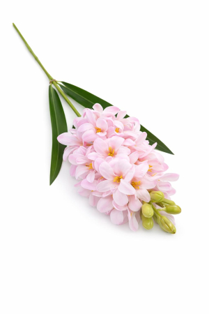 Zambila artificiala eleganta roz delicat, 31 flori si 9 boboci, 75 cm [2]