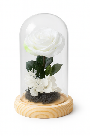 Cupola sticla cu trandafir criogenat alb, bază lemn, aranjament elegant 12.5x9 cm [1]