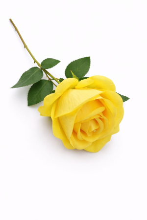 Trandafir artificial galben cu petale catifelate si frunze 46 cm calitate superioara [1]