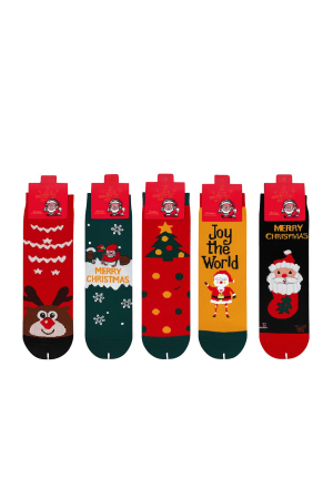 Sosete dama modele Craciun – modele combinate [3]