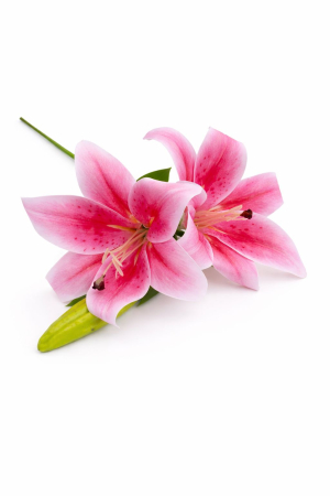 Crin artificial roz cu alb cu 2 flori si boboc aspect natural elegant 35 cm [1]