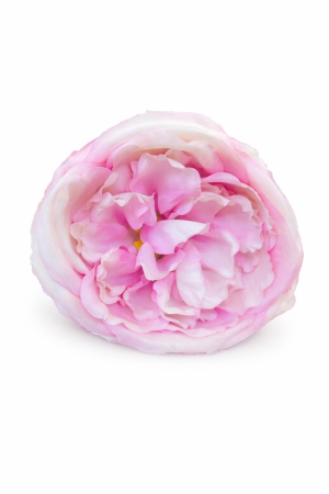 Trandafir artificial roz delicat si crem extrabogat 50 cm diametru floare 10 cm [2]