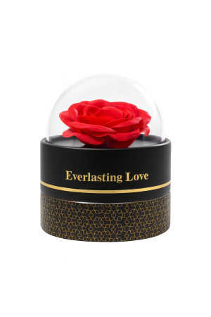 Cutie cadou Best Wishes cu trandafir din sapun si colier surpriza, 11x11x11 cm [3]