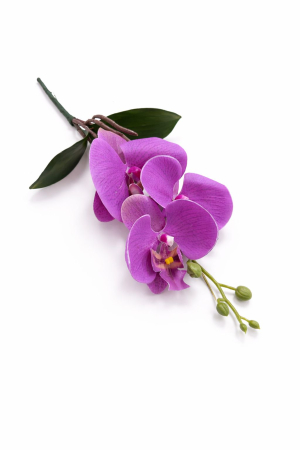 Orhidee artificiala mov delicat cu 3 flori si boboci, frunze decorative 37 cm [2]
