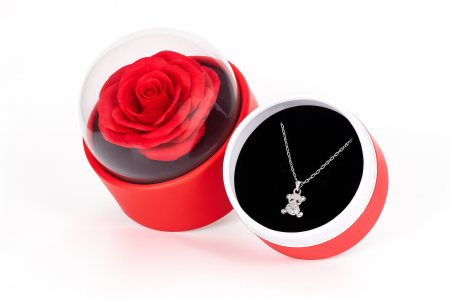 Cupole cu flori din plastic - Cutie cadou, trandafir sub cupola transparenta