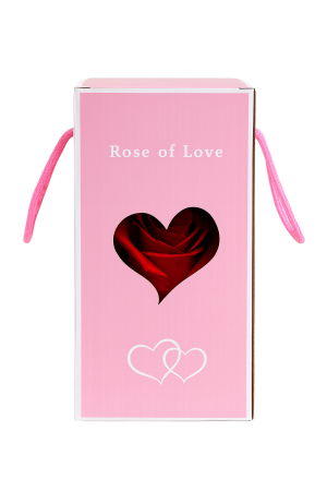 Cupola cu Trandafir Artificial Rosu in Buchet Decorativ 20cm cu Fundita Cadou [2]