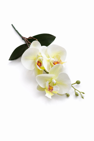 Orhidee artificiala verde crud cu 3 flori si boboci, frunze decorative 37 cm [1]