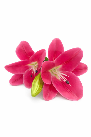 Crin artificial roz intens elegant cu 2 flori si boboc decorativ pe fir unic 63 cm [1]