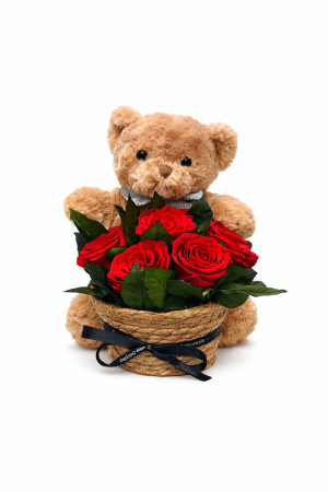 Cutie Premium Teddy Bear cu Trandafiri Criogenati 30x25x24 cm Cadou Romantic [1]
