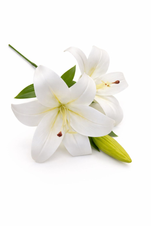 Crin artificial alb delicat cu 2 flori si boboc aspect elegant decorativ 35 cm [1]