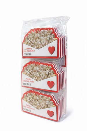 Magnet martisor cu mesaj Pentru cea mai buna colega, cadou simbolic de primavara, 10x6cm [2]