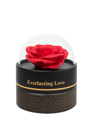 Cutie cadou Best Wishes cu trandafir din sapun si colier surpriza, 11x11x11 cm [1]