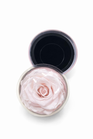 Aranjament trandafir natural criogenat cu compartiment bijuterii si cutie cadou [4]